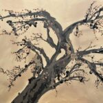 Japanese Cherry Tree