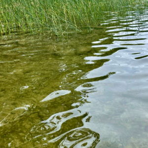 Hobb's Pond 1