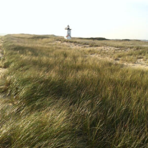 Lighthouse Provincetown 1