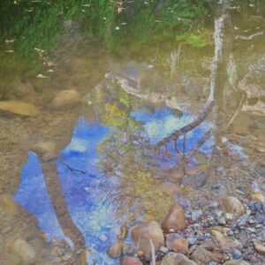Reflection 4