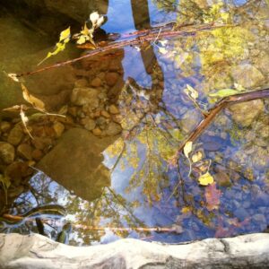 Reflection 5