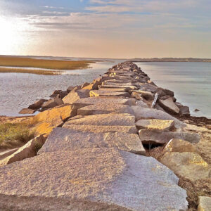 The Causeway