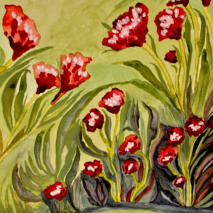 Pond Flowers