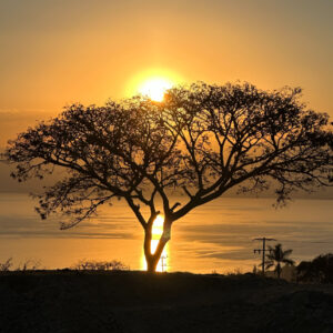 Lake Chapala Sunset 16