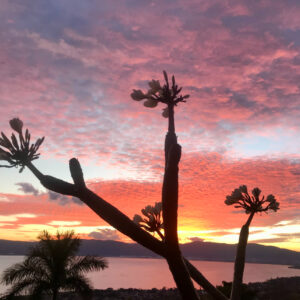 Lake Chapala Sunset 5