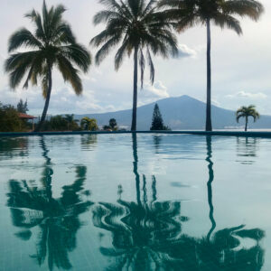 Palm Reflection 3