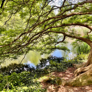 River Bend