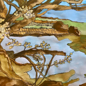 Jordan River 1