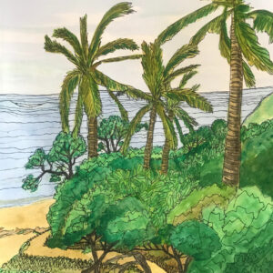 Punta Mita Vista 3